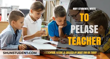 Why Students Write to Please Teachers: Motivations and Implications