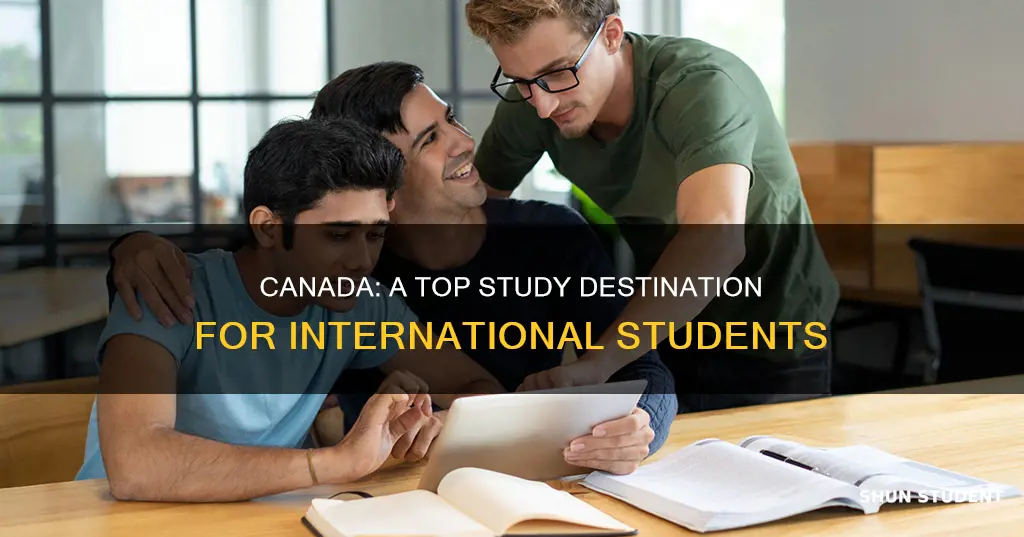 why study in canada for international student essay