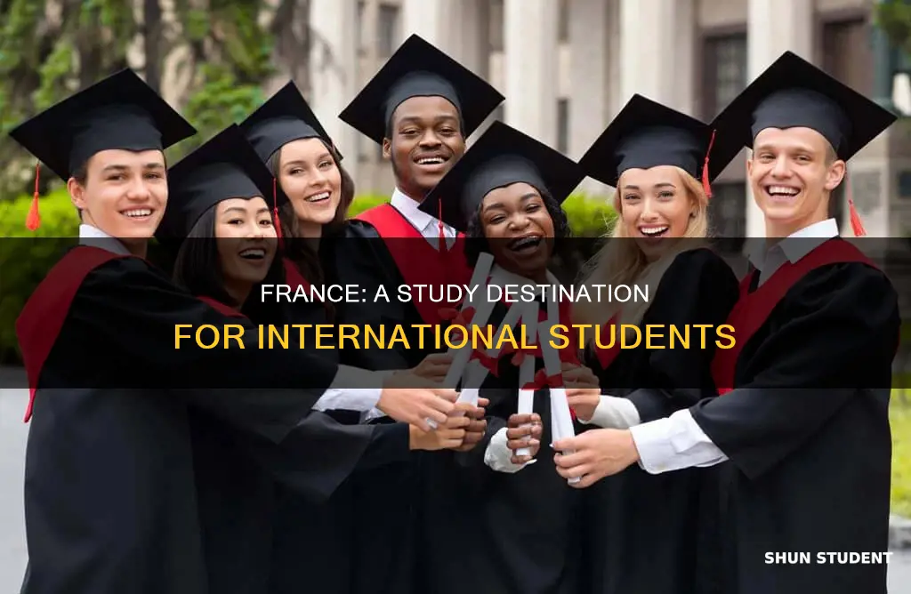 why study in france for international students
