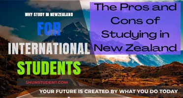 Study in New Zealand: A Global Student's Dream