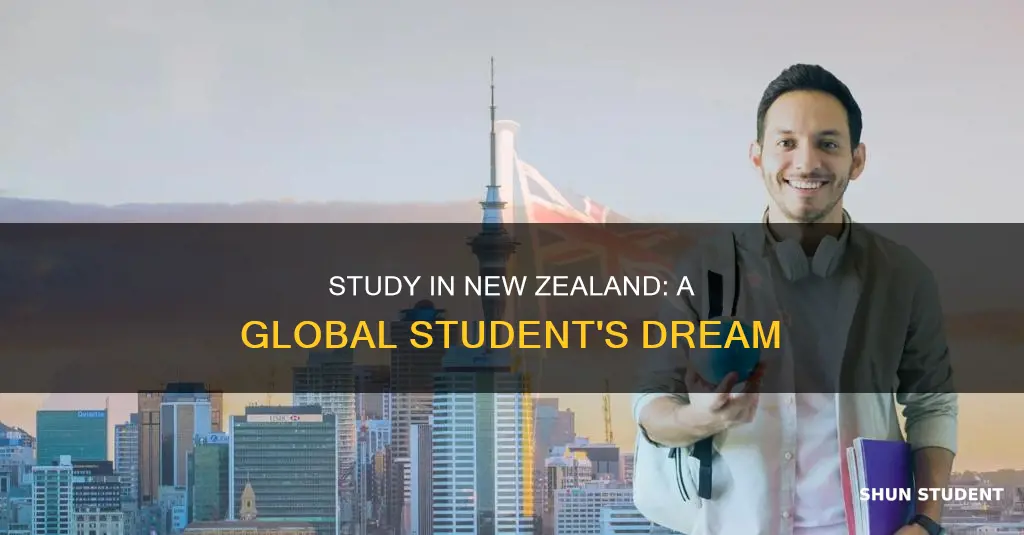why study in newzealand for international students