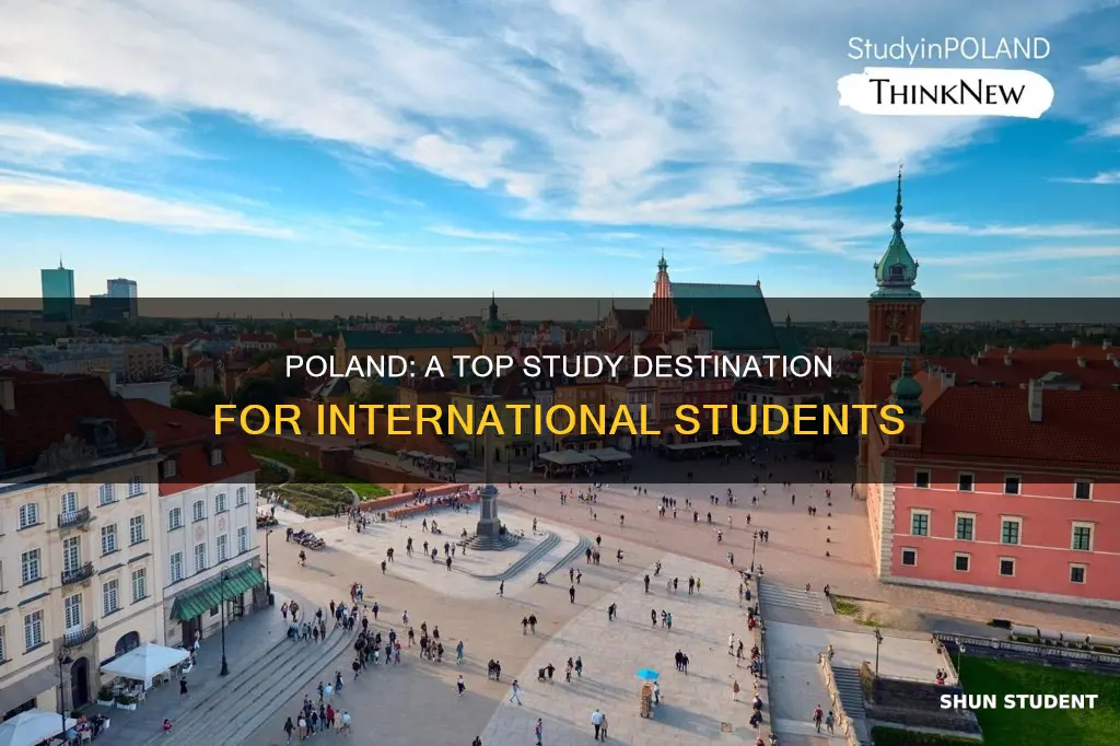 why study in poland for international students