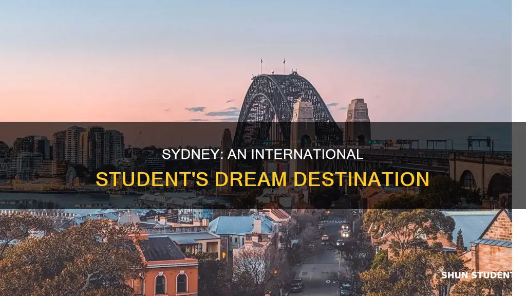 why study in sydney for international students