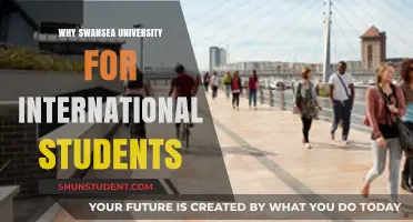 Swansea University: A Global Student's Dream Destination