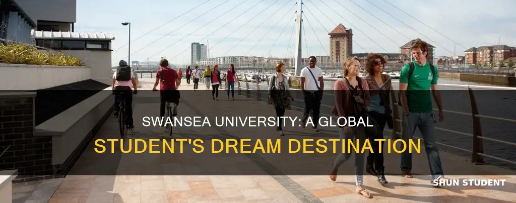 why swansea university for international students