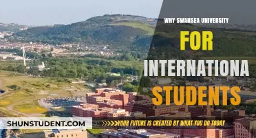 Swansea University: An International Student's Dream