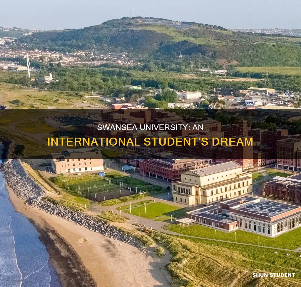 why swansea university for international students