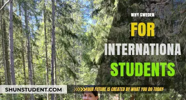 Sweden: A Top Choice for International Students