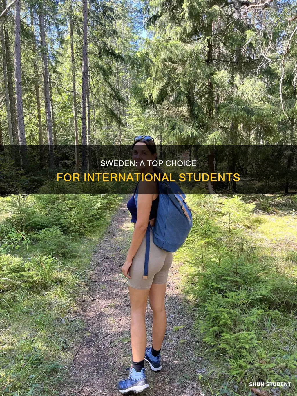 why sweden for international students