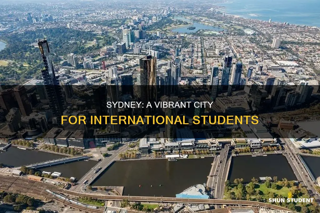 why sydney is better than melbourne for international students