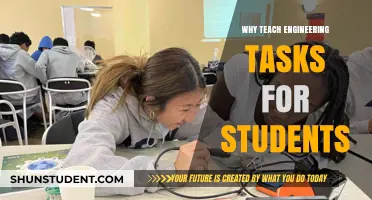 Empowering Future Innovators: The Importance of Teaching Engineering Tasks to Students