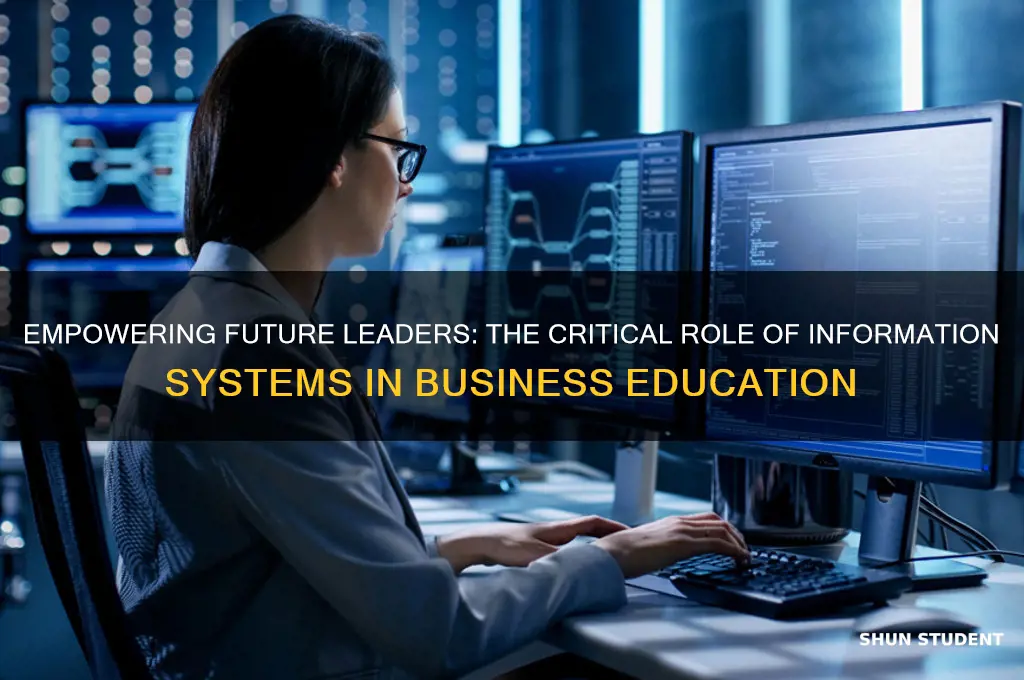 why teach information systems to business students