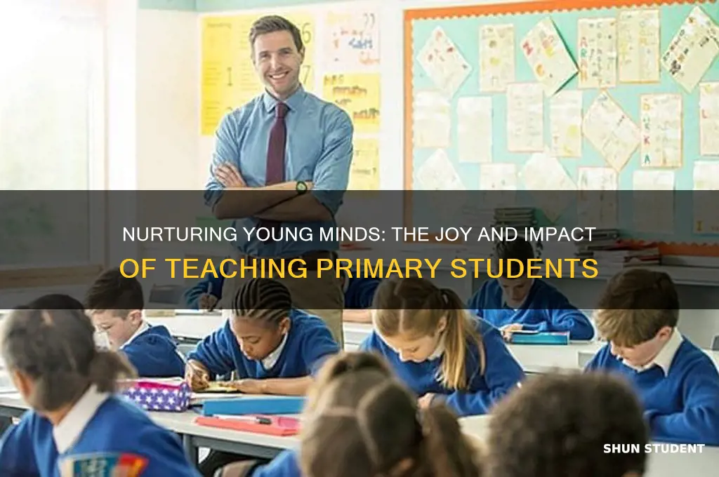 why teach primary students