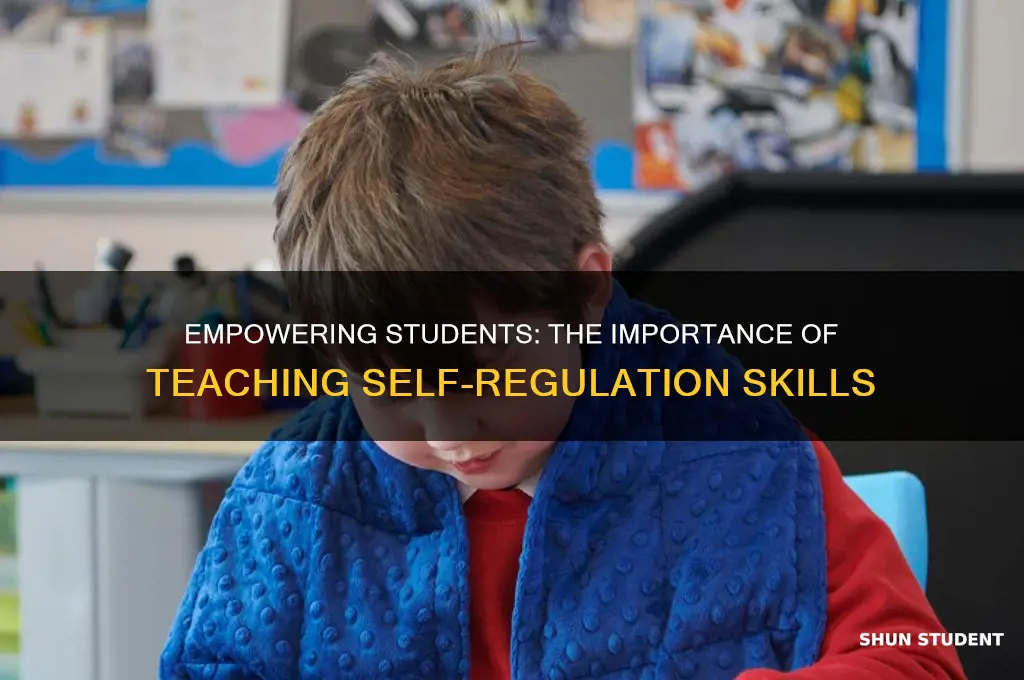 why teach self regulation to students