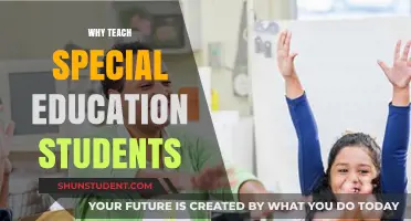 Empowering Futures: The Impact of Teaching Special Education Students