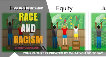 Teaching Race and Racism: Empowering Students for an Equitable Future