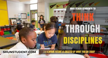 Teaching Through Disciplines: Cultivating Critical Thinking in Students