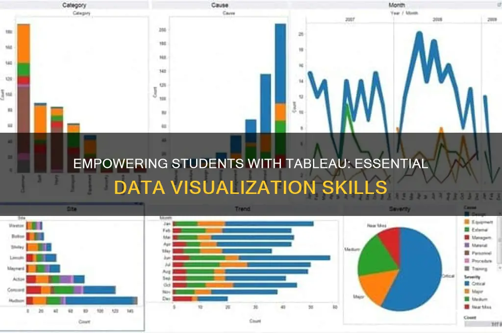 why teach tableau to students