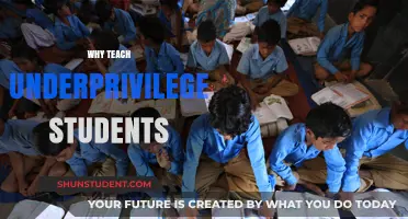 Empowering Futures: The Transformative Impact of Teaching Underprivileged Students