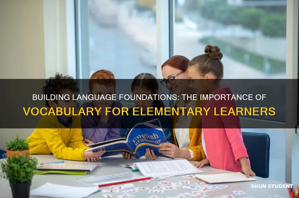 why teach vocabulary to elementary students