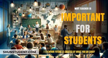 Teachers: Shaping Minds, Inspiring Futures, and Transforming Lives