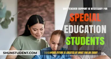 Empowering Special Education: The Critical Role of Teacher Support