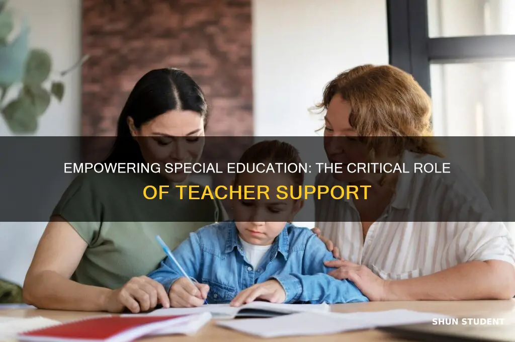 why teacher support is necessary for special education students