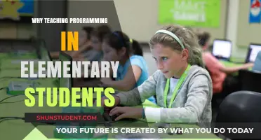 Empowering Young Minds: The Benefits of Early Programming Education