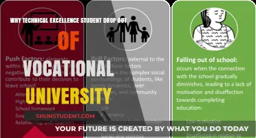 Technical Excellence: Dropping Out of Vocational University