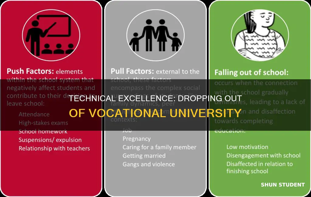 why technical excellence student drop out of vocational university