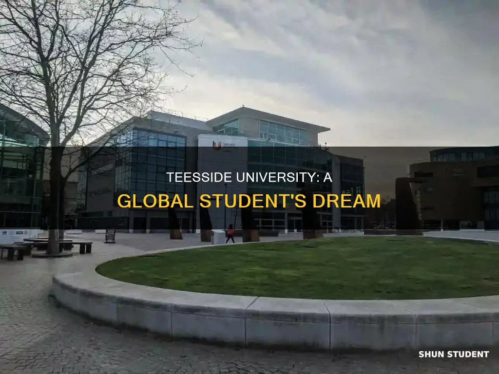 why teesside university is best for international students