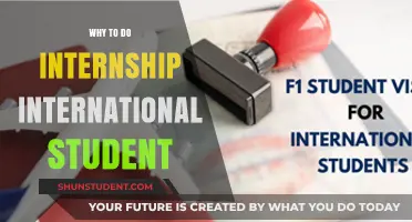 Internships: Launching Global Careers for Students