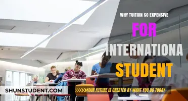 The High Cost of International Student Tuition