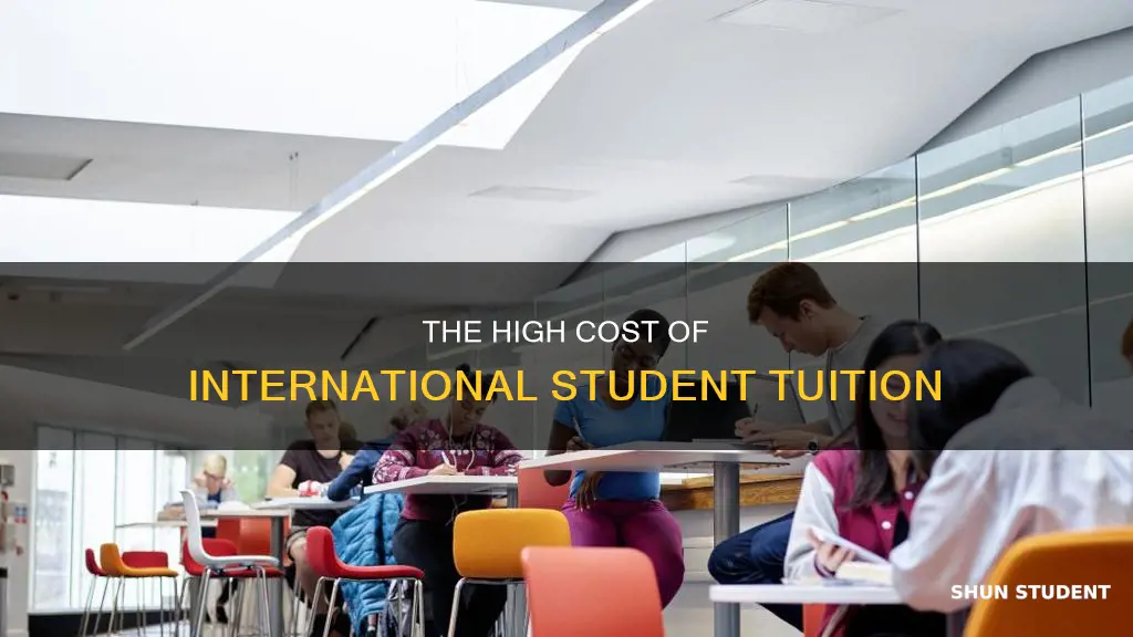 why tuition so expensive for international student