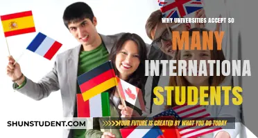 International Students: The Rising Trend and Its Impact on Universities