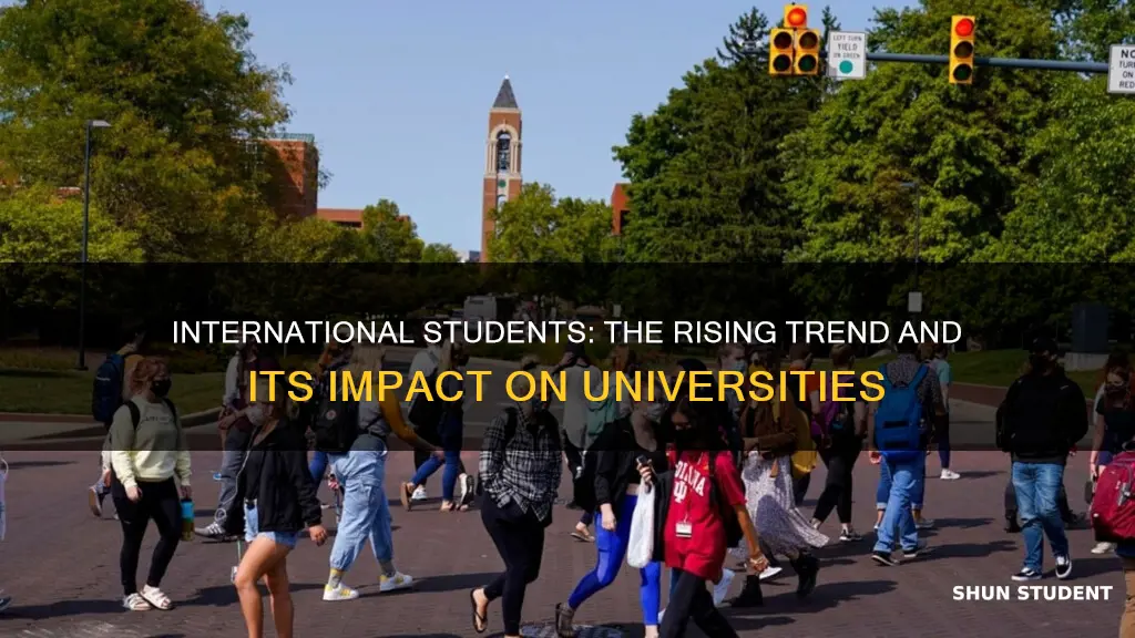 why universities accept so many international students