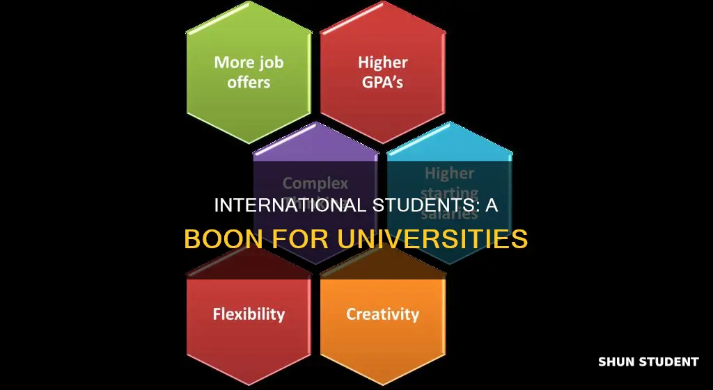 why universities accept so many international students