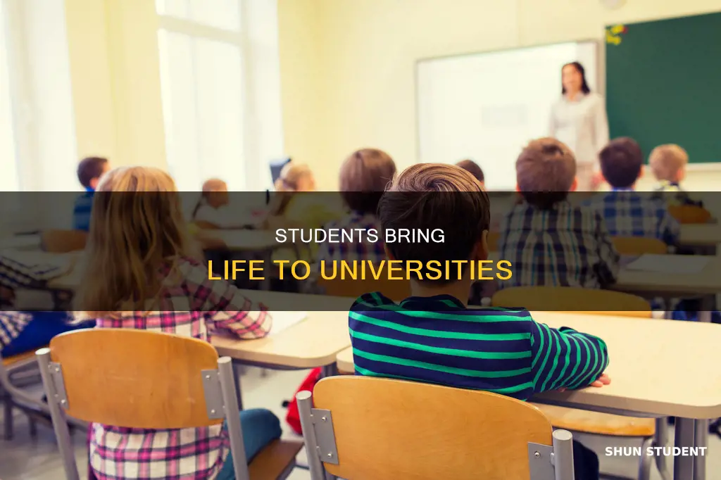 why university need students