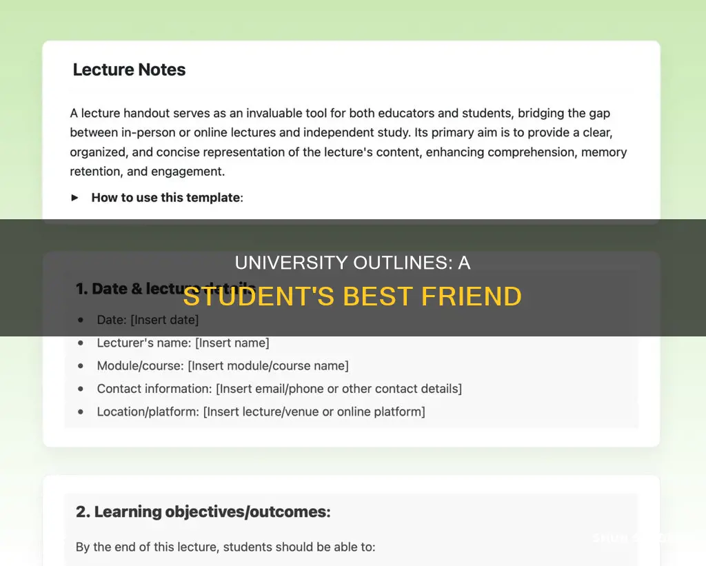 why university professors should handout outlines to students