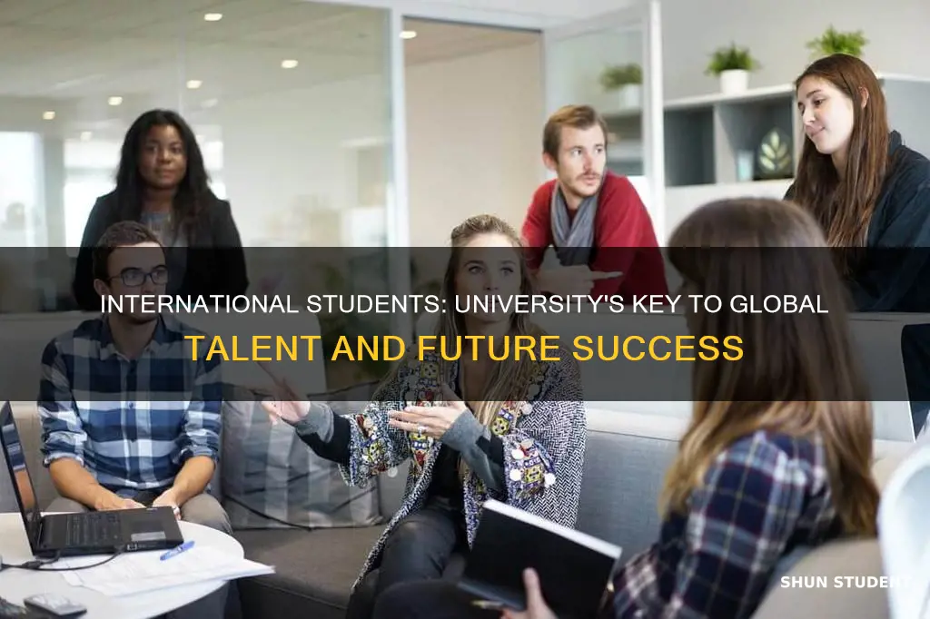 why university provides internship to international students