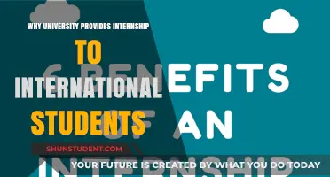 Internships: A University's Global Student Advantage