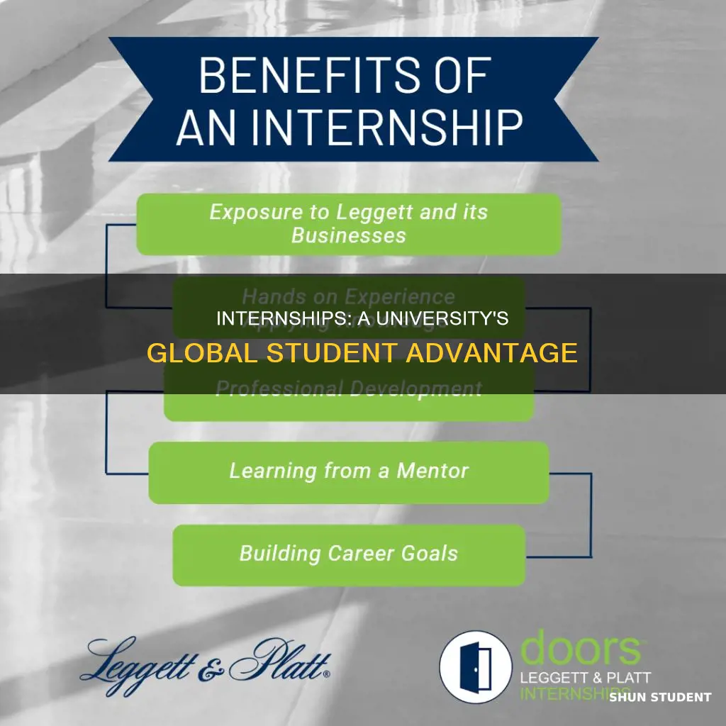why university provides internship to international students