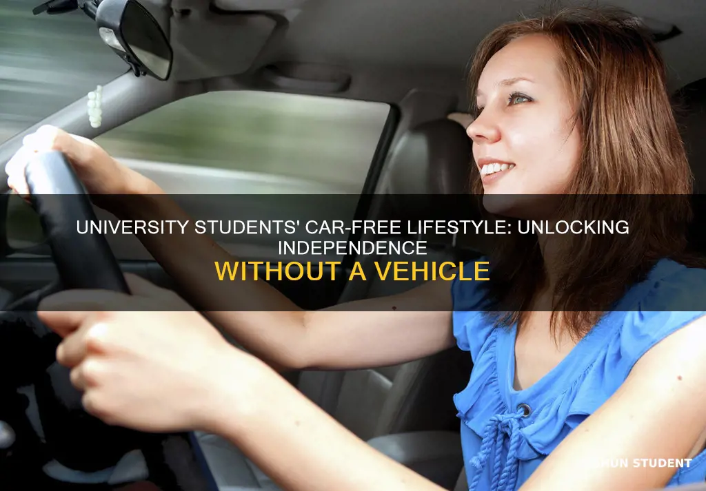 why university students dont have car