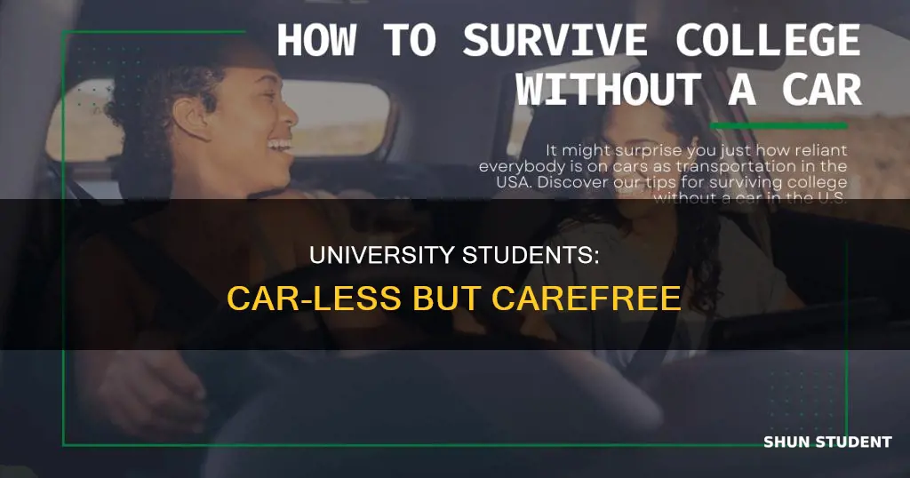 why university students dont have car