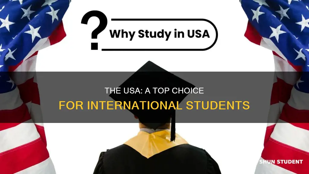 why usa for international students