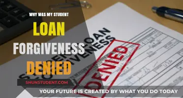 Denied Student Loan Forgiveness? Common Reasons and How to Appeal