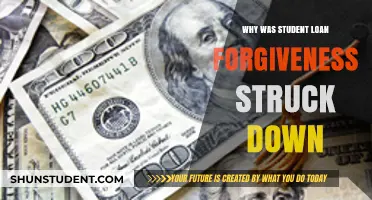 Why Student Loan Forgiveness Was Struck Down: Legal Analysis