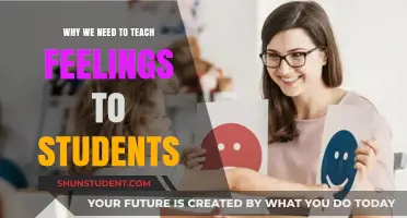 Teaching Emotions: Empowering Students for Social and Emotional Success