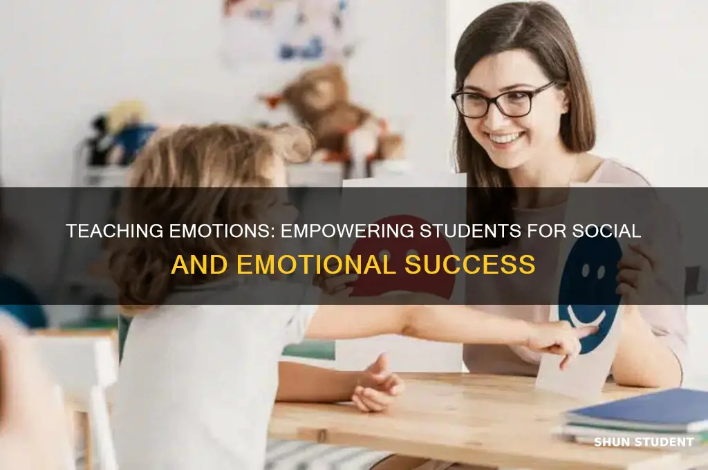 why we need to teach feelings to students