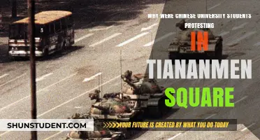 Tiananmen Square Protests: Why Chinese Students Revolted